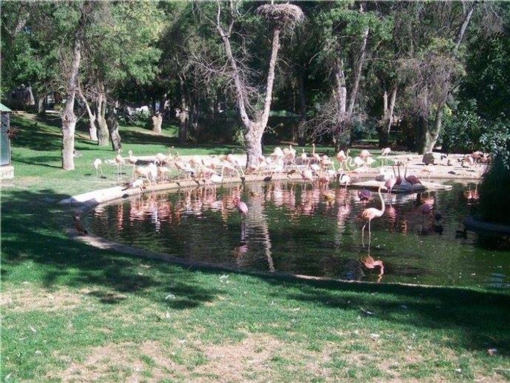 zoo 2010