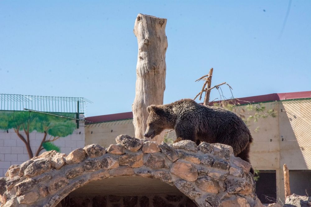 Zoo de Lillo 03-09-2022