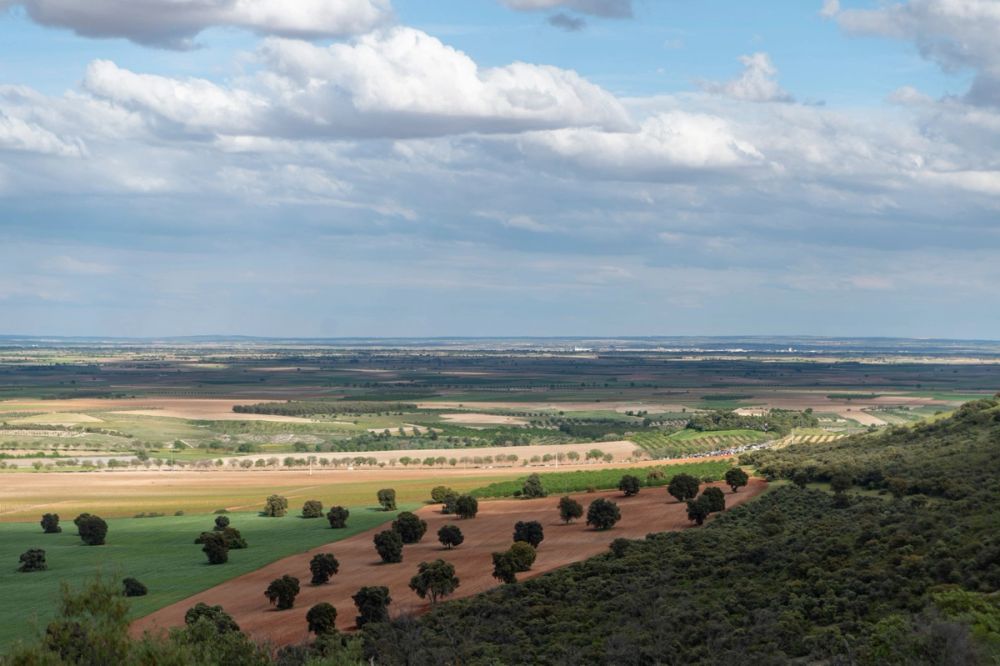 Sierra de Corral de Almaguer 03-05-2025