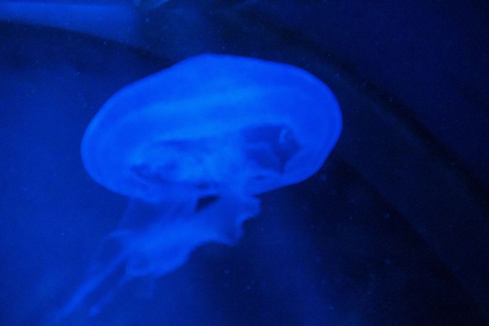 Zoo 17-08-2024