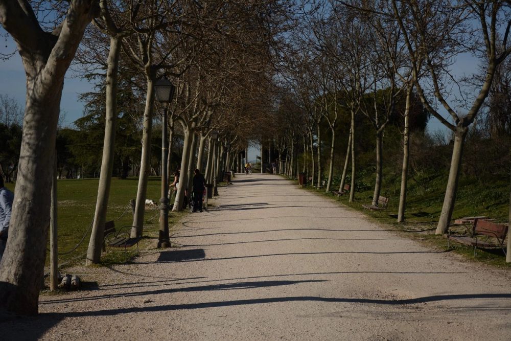 Parque Polvoranca (Leganes) 18-03-2017