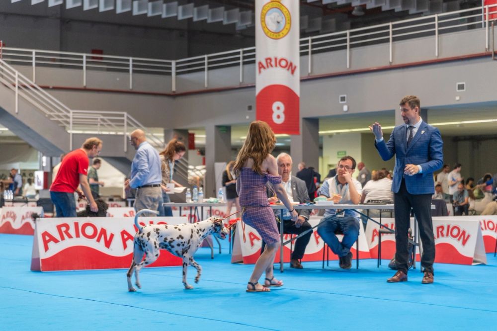 Exposicion canina (ciudad real) 01-06-2024