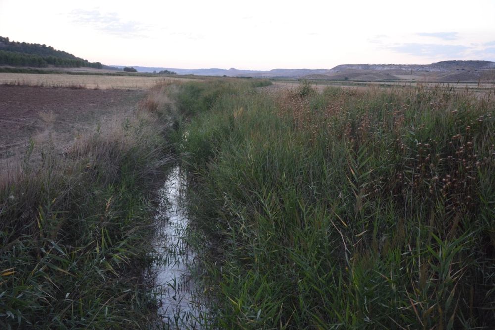 Lagunas de la guardia y Ermita del Santo Niño (La guardia) 2020