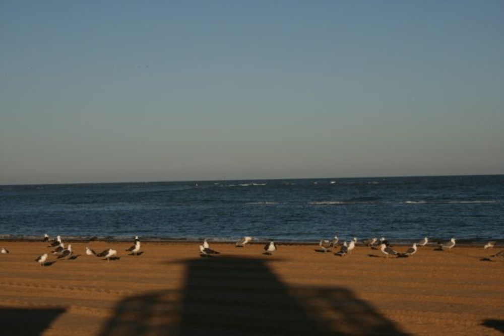 chipiona 2008