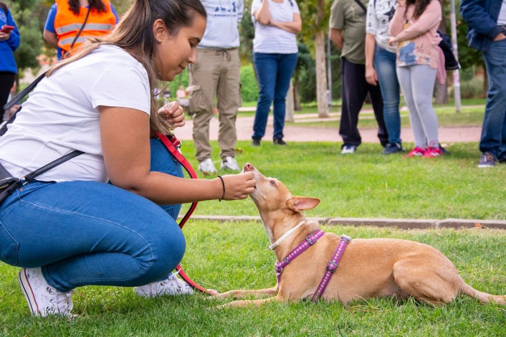 IV Ruta canina en Leganes 22-09-2019
