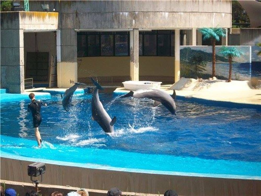 zoo 2010