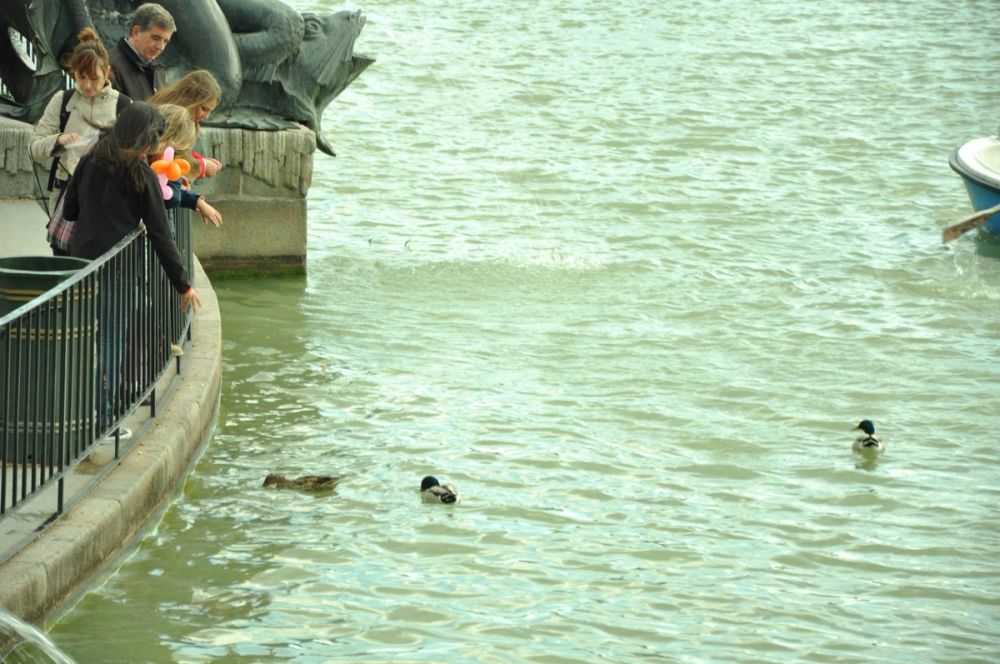 Parque Retiro (Madrid) 26-04-2014