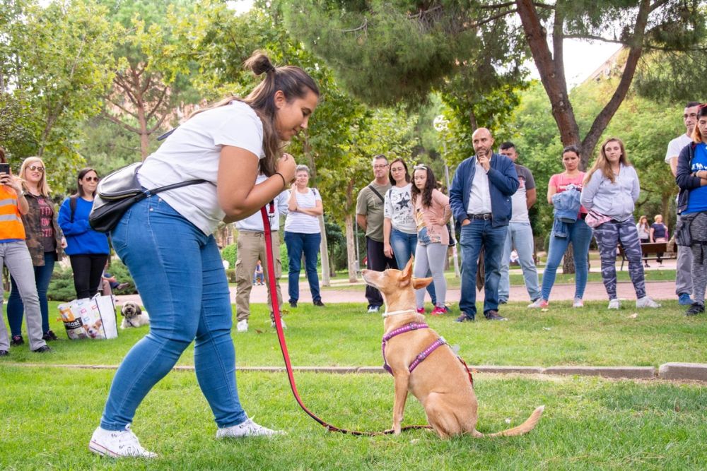 IV Ruta canina en Leganes 22-09-2019
