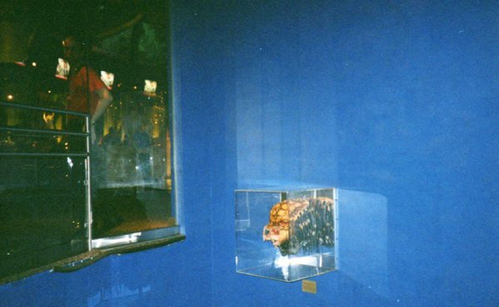 New York 2003
