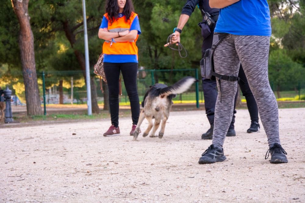Formacion de perro policia 22-09-2019