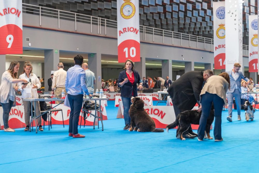 Exposicion canina (ciudad real) 01-06-2024