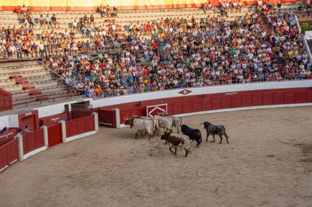 Toros en Colmenar Viejo 22-08-2019