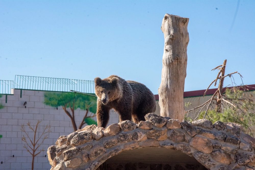 Zoo de Lillo 03-09-2022