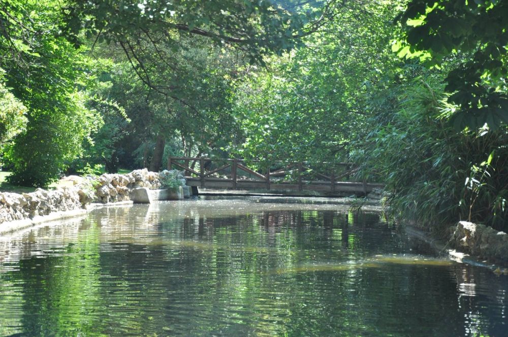 Parque del Retiro (Madrid) 30-05-2015
