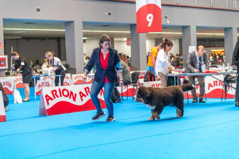 Exposicion canina (ciudad real) 01-06-2024