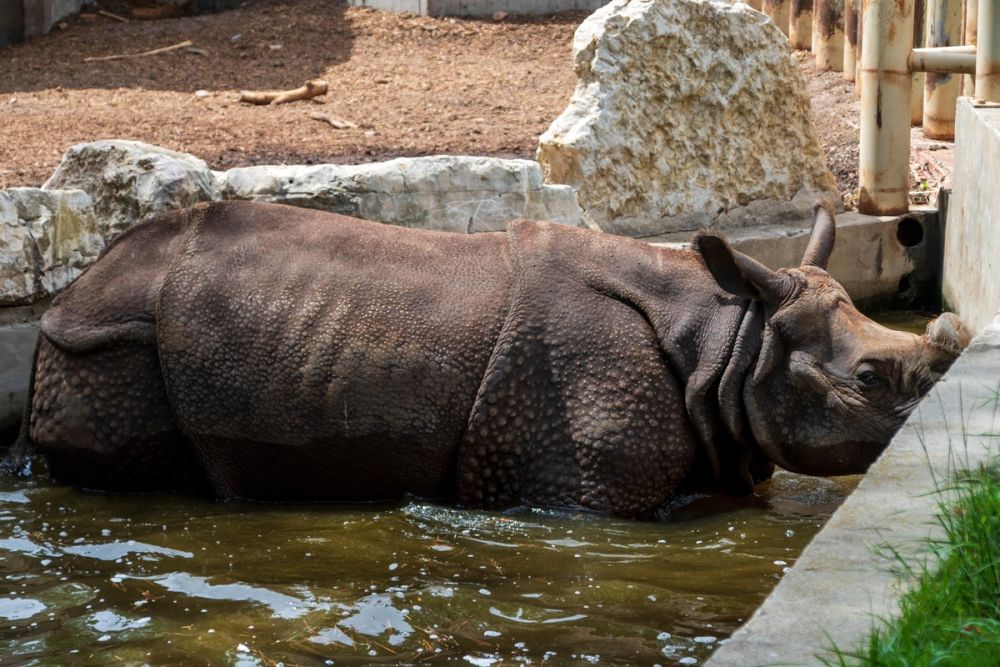 Zoo 17-08-2024