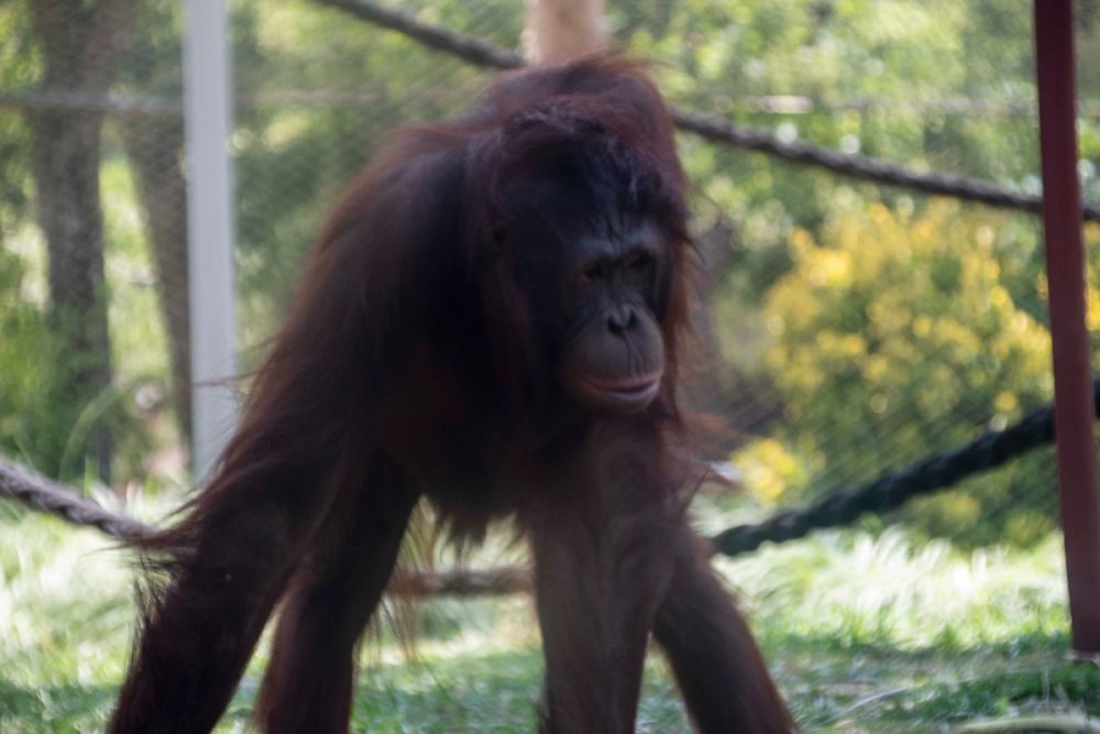 Zoo 29-07-2026