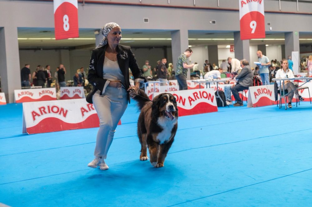 Exposicion canina (ciudad real) 01-06-2024