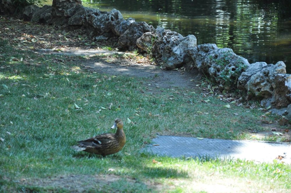 Parque del Retiro (Madrid) 30-05-2015