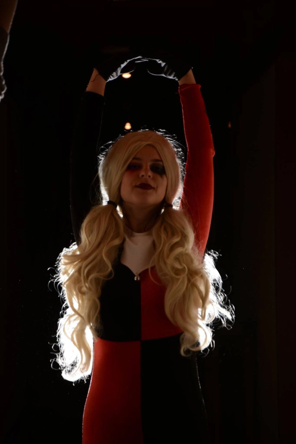 harley quinn 24-02-2019