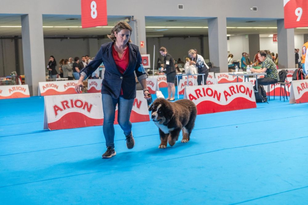 Exposicion canina (ciudad real) 01-06-2024