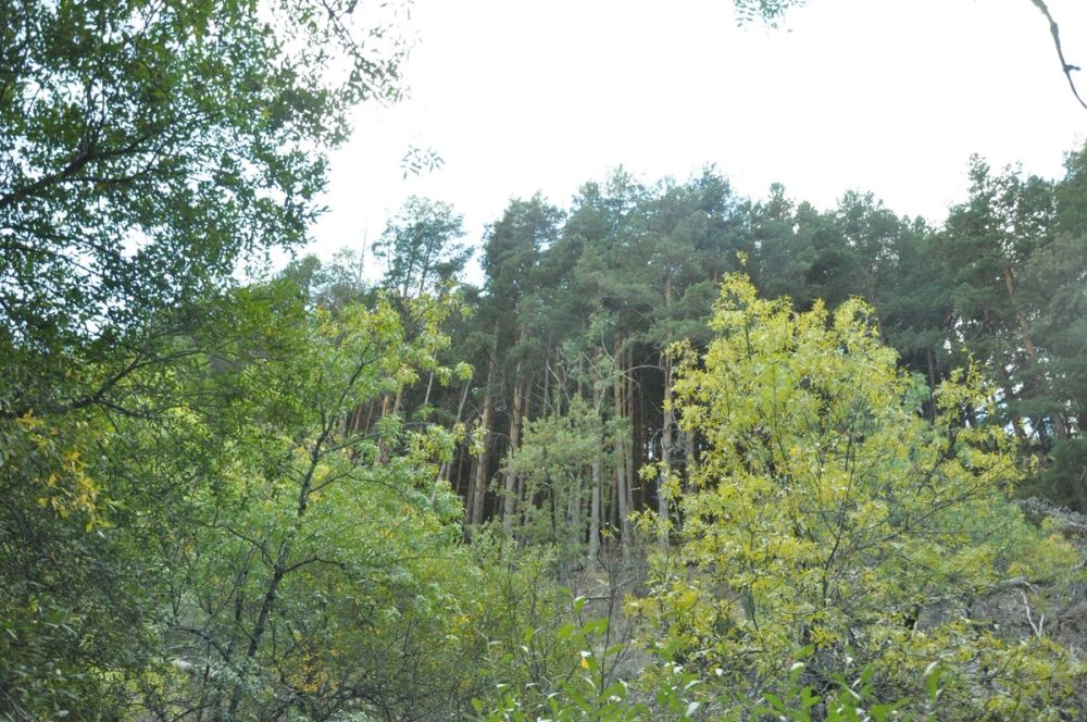 Cascadas del purgatorio 27-09-2015