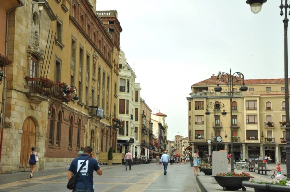 Leon 2014