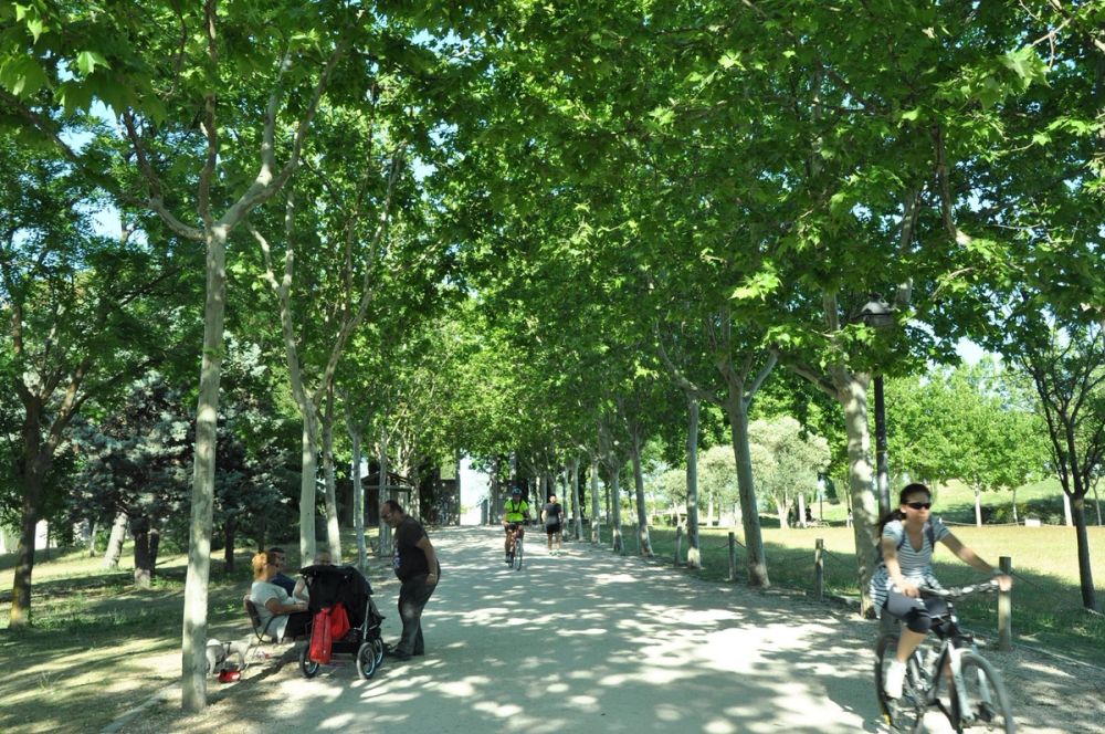 parque polvoranca (Leganes) 28-05-2015