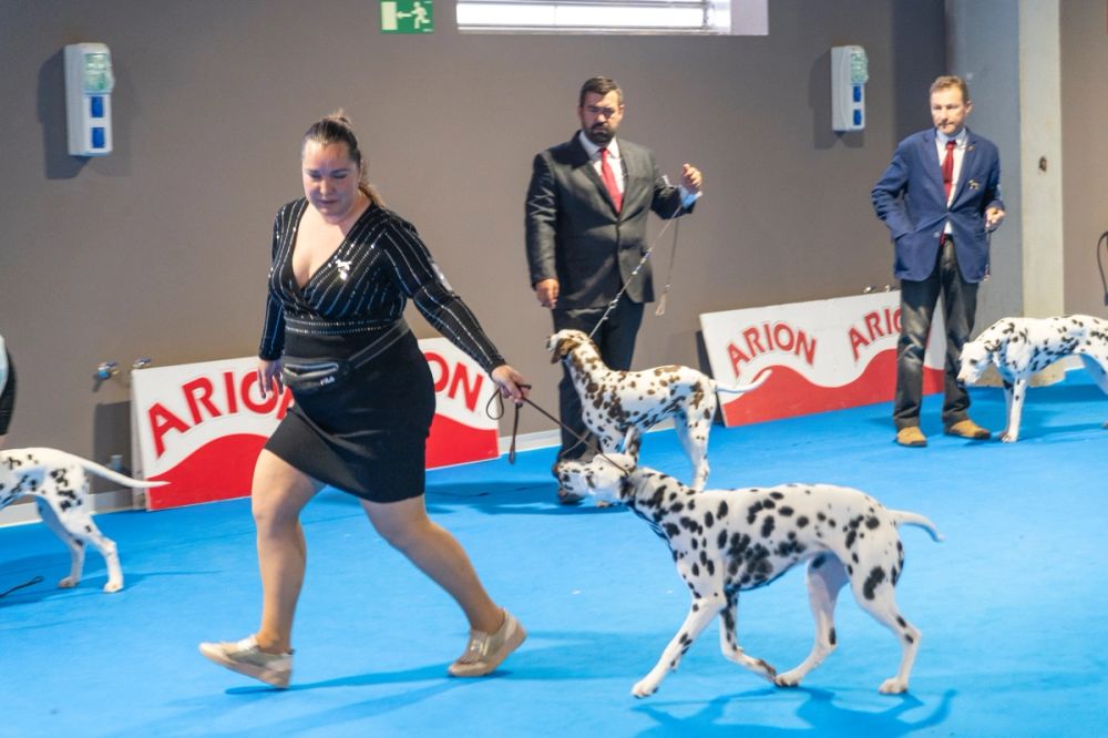 Exposicion canina (ciudad real) 02-06-2024