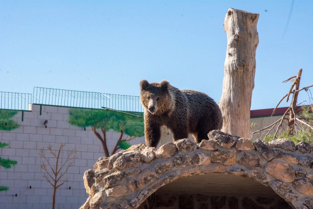 Zoo de Lillo 03-09-2022