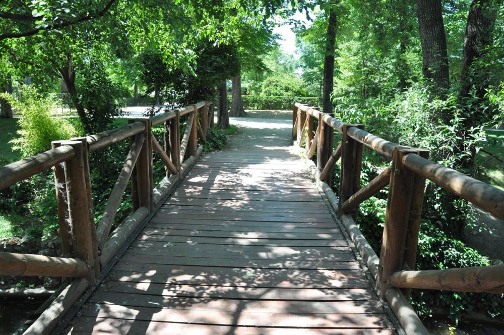 Parque del Retiro (Madrid) 30-05-2015