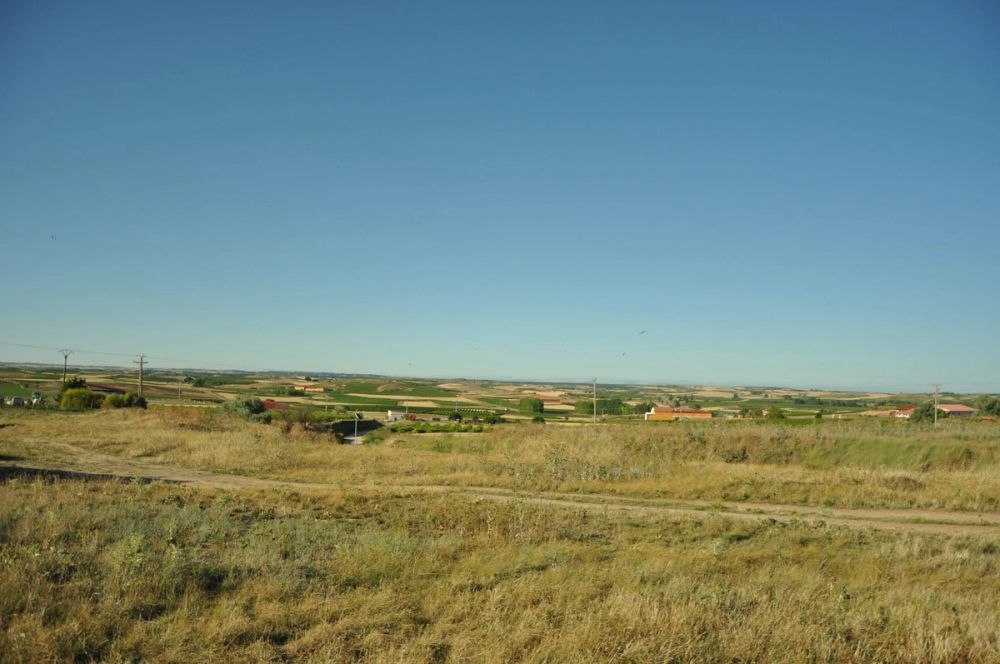Roa del duero 2014