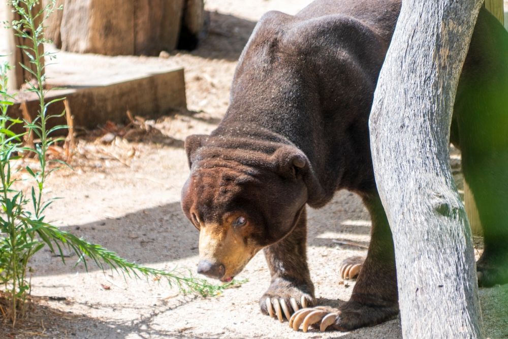 Zoo 17-08-2024