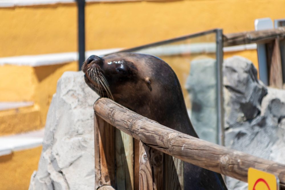 Zoo 17-08-2024