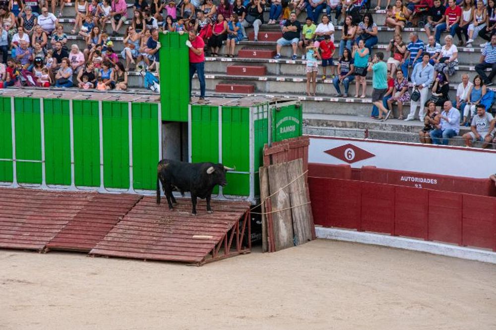 Toros en Colmenar Viejo 22-08-2019