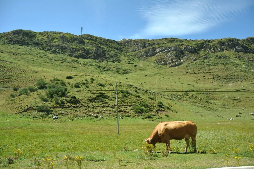 Babia (Leon/Asturias) 2014