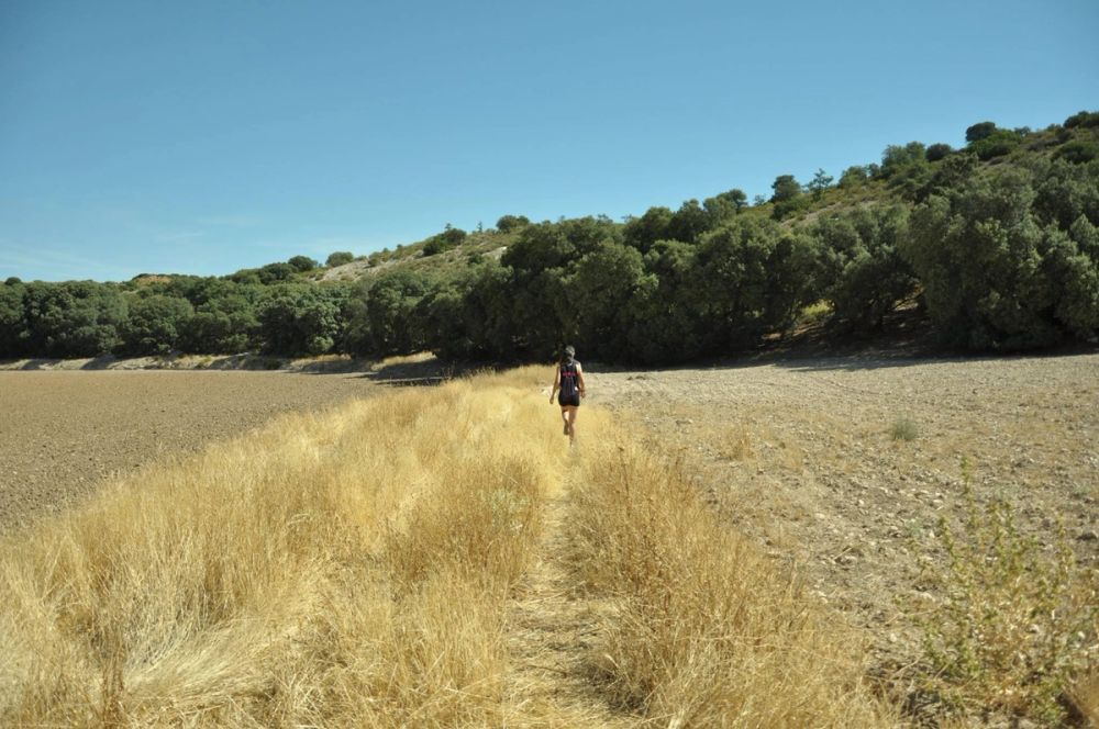 Valle de Lillo 2017