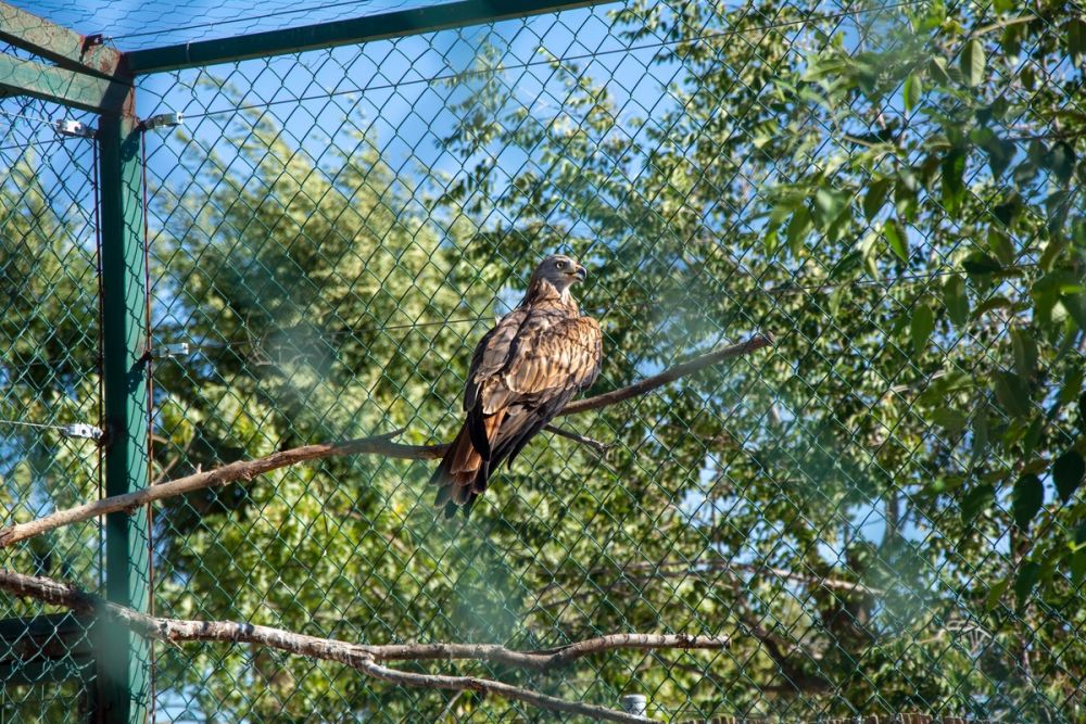 Zoo de Lillo 03-09-2022