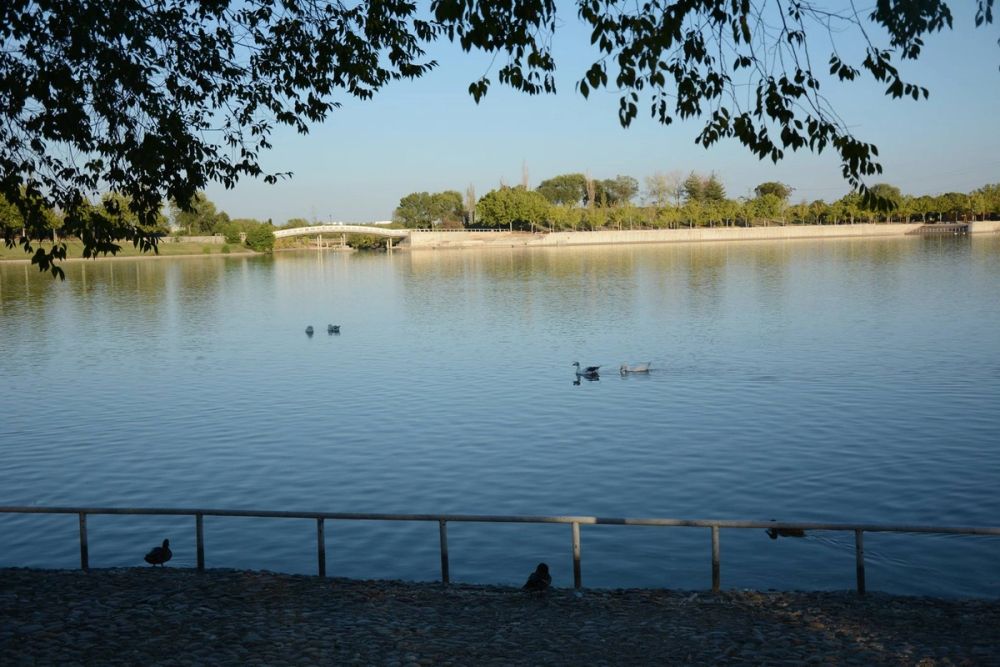 Parque Polvoranca (Leganes) 20-08-2017