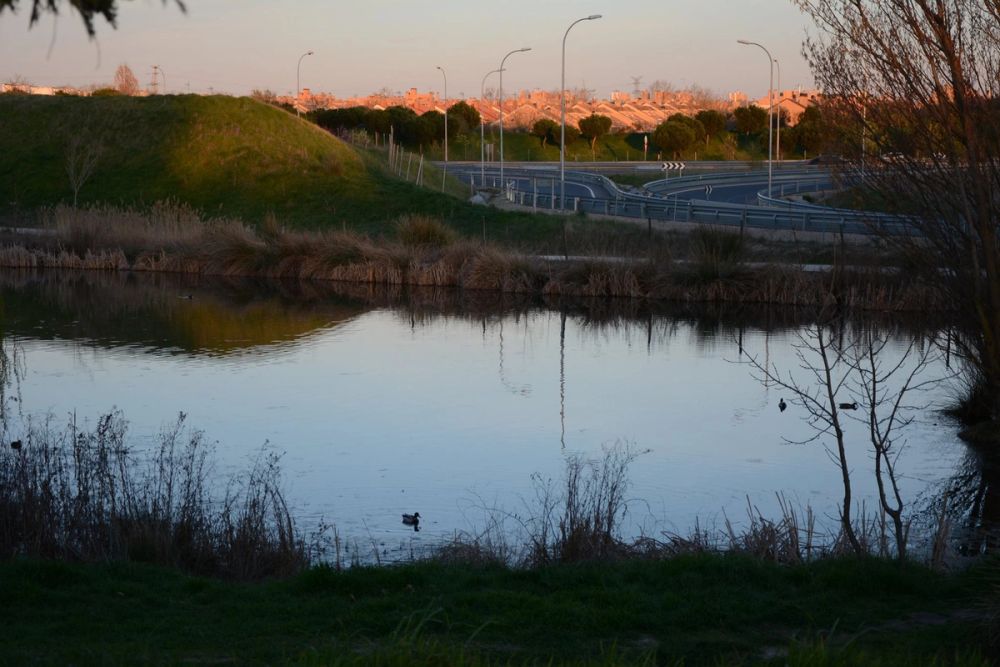 Parque Polvoranca (Leganes) 18-03-2017