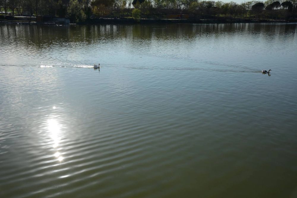 Parque Polvoranca (Leganes) 18-03-2017