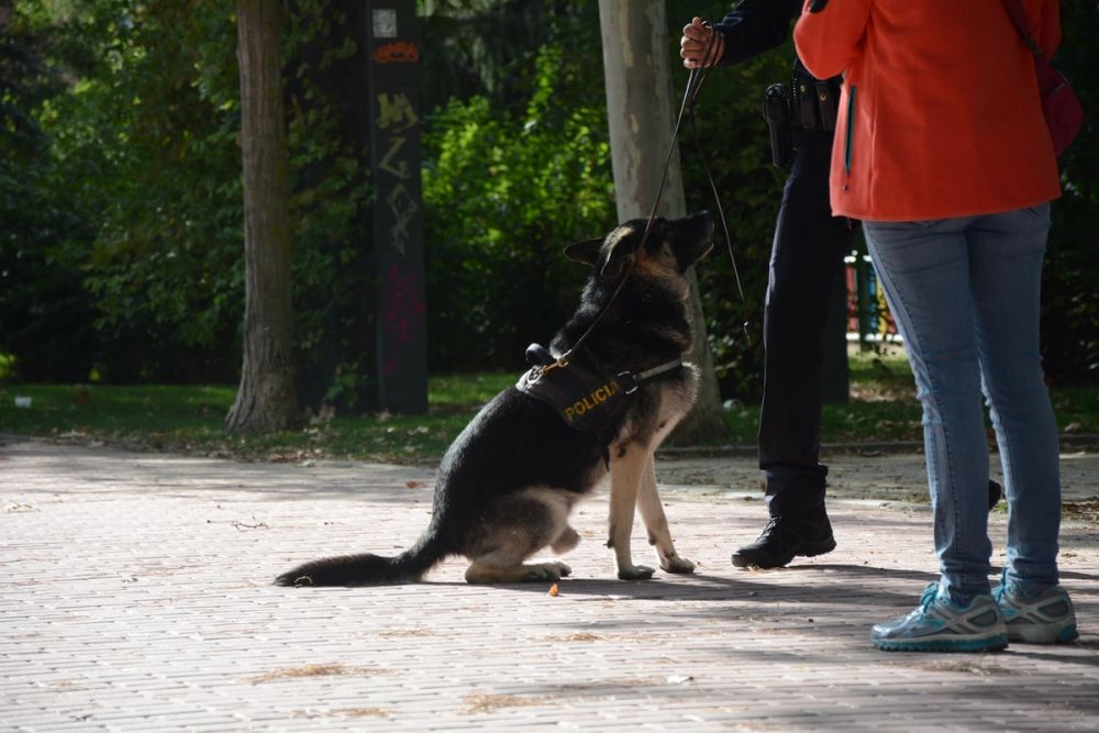 V ruta canina de Leganes 20-09-2020