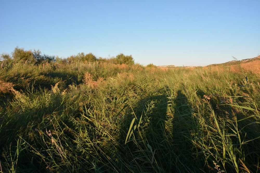 Lagunas de la guardia y Ermita del Santo Niño (La guardia) 2020