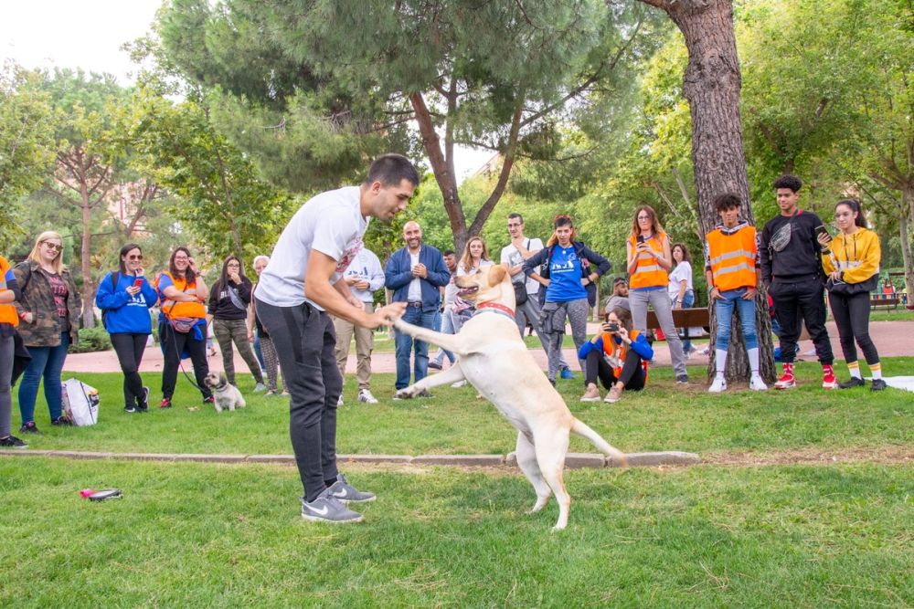 IV Ruta canina en Leganes 22-09-2019