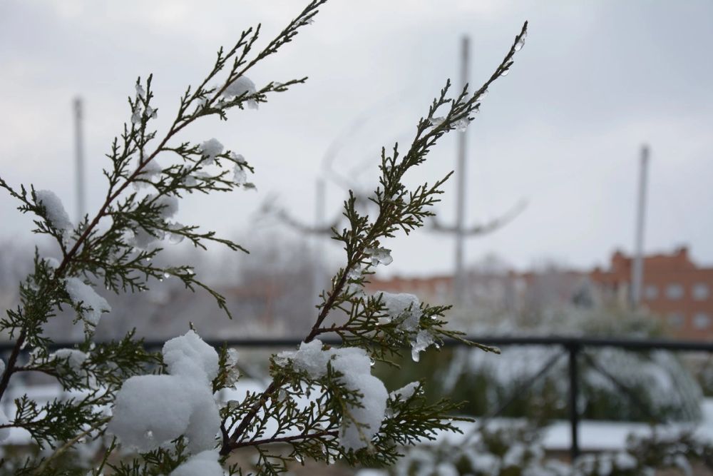 Leganes Nevado 2021 Dia 1