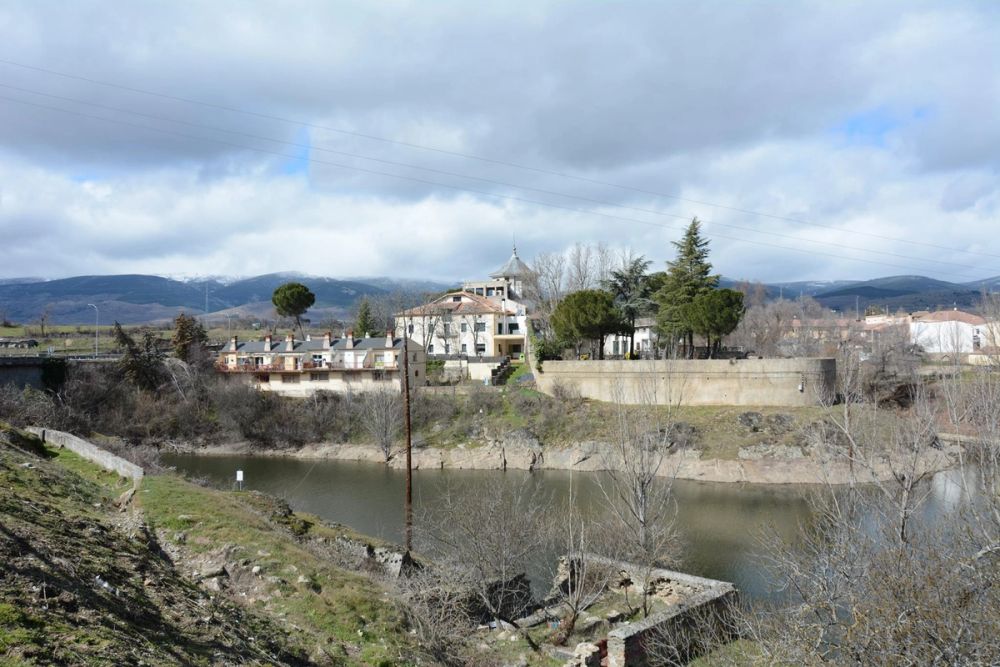 Buitrazo de Lozoya 04-03-2017