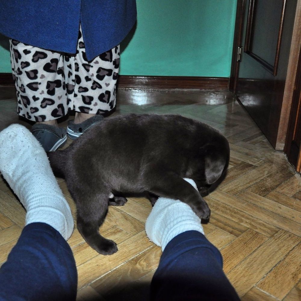 baby Conan