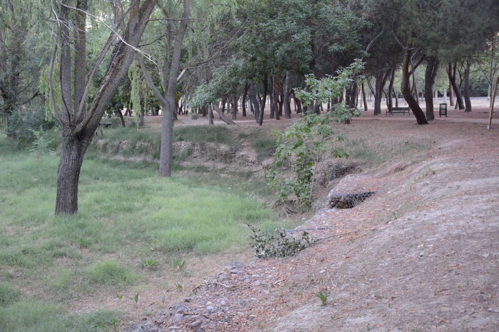 Parque Polvoranca (Leganes) 20-08-2017
