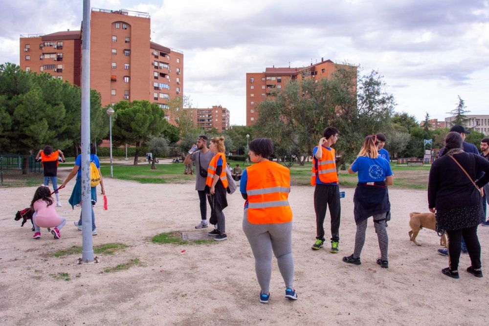 Formacion de perro policia 22-09-2019
