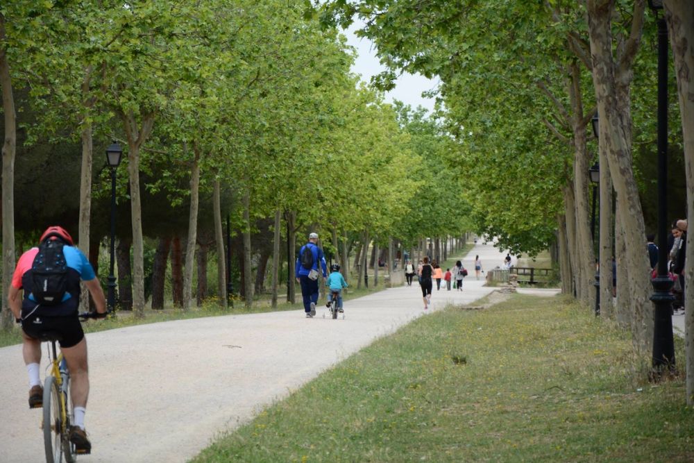 Parque polvoranca (Leganes) 10-06-2019